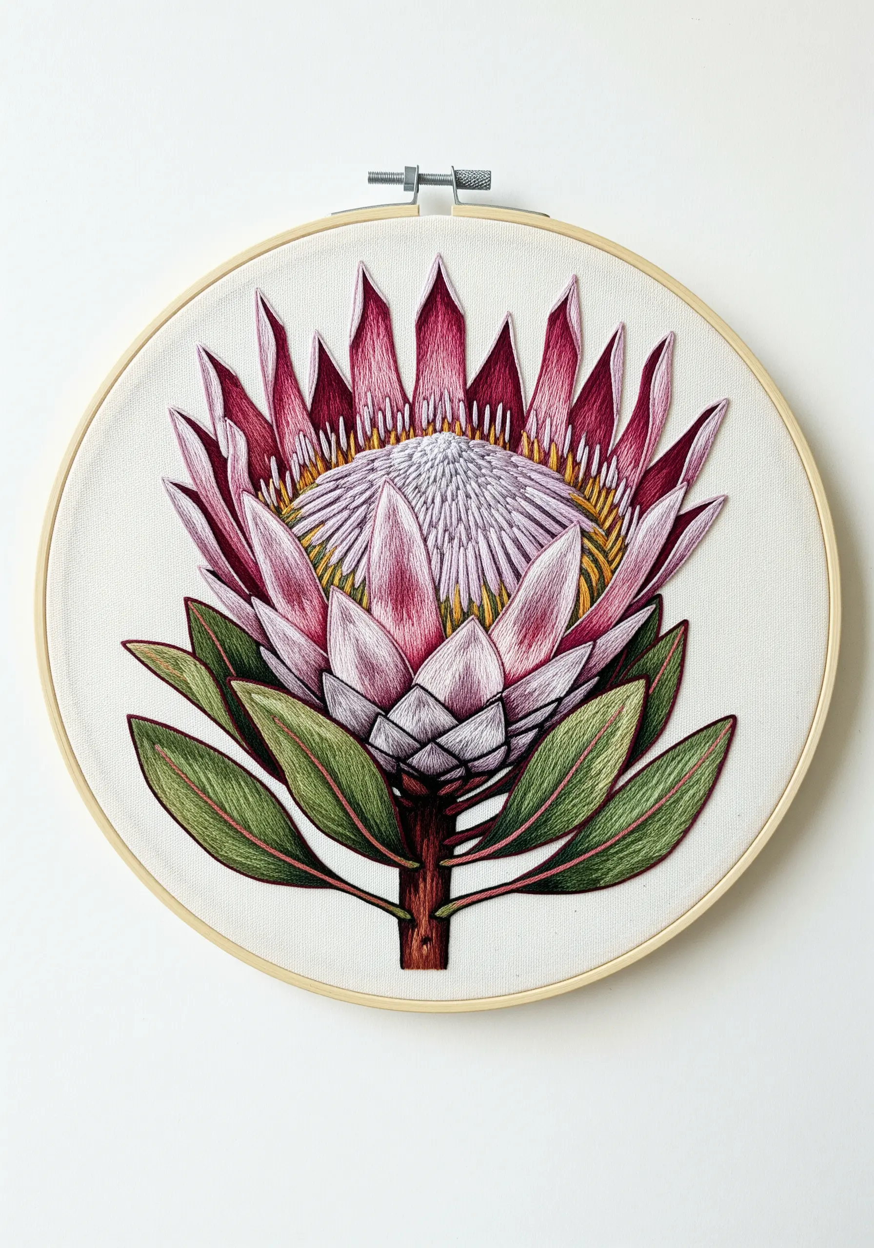 A king protea flower with sharp pink-tipped bracts and a soft, textured center.