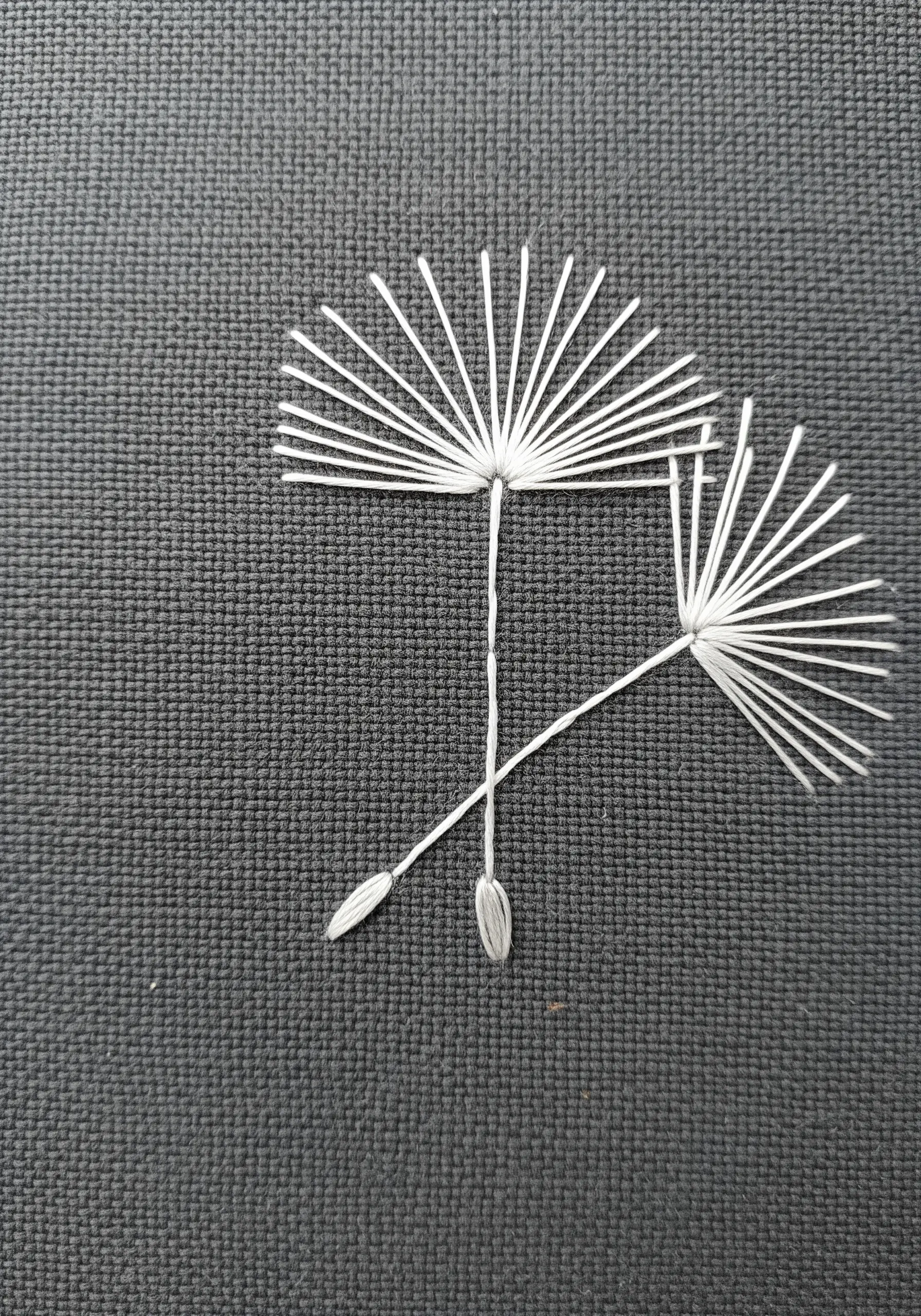 Two delicate dandelion seeds embroidered in white thread on a black fabric.