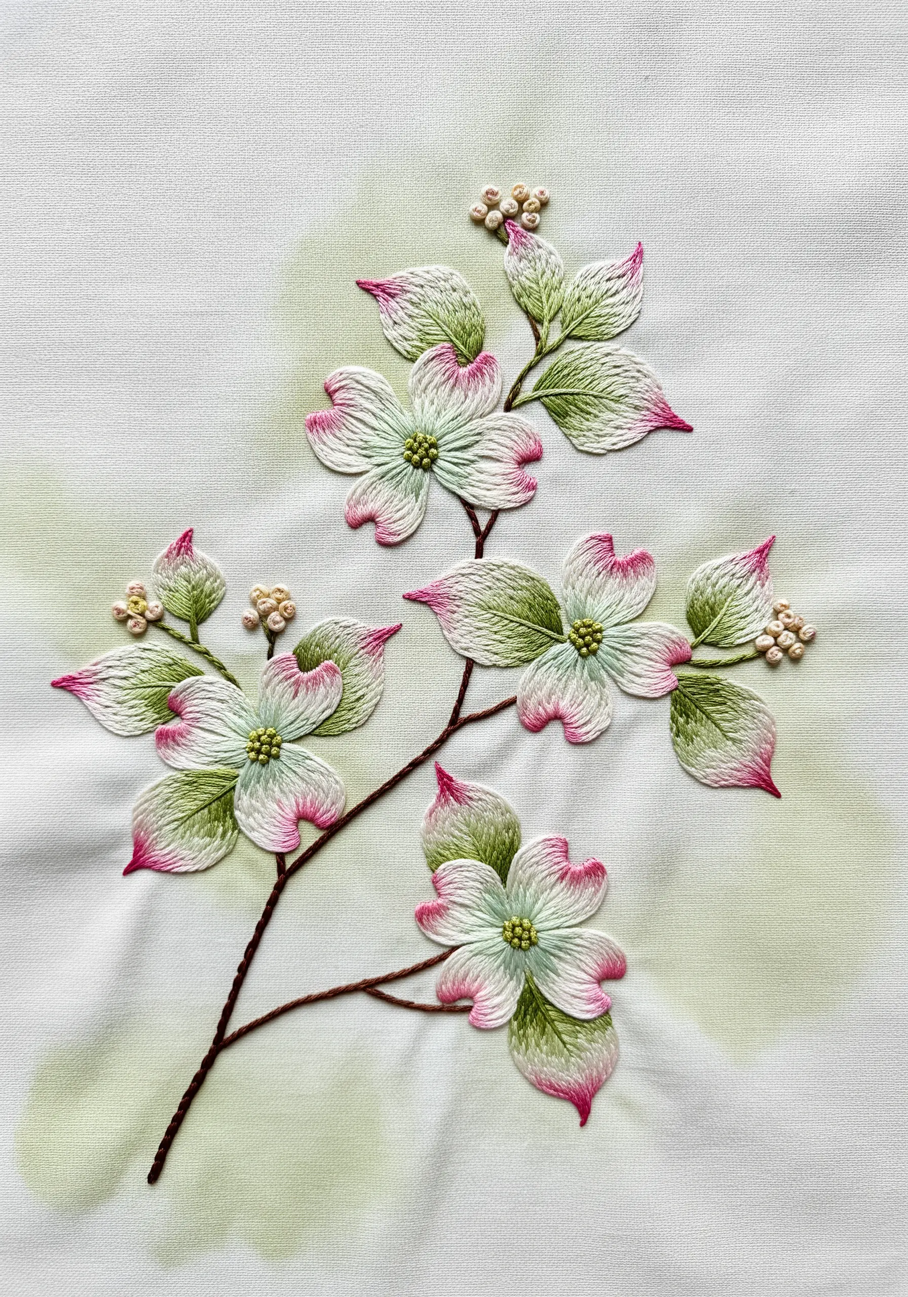 Embroidered dogwood flowers with a soft green watercolor paint wash behind the leaves.