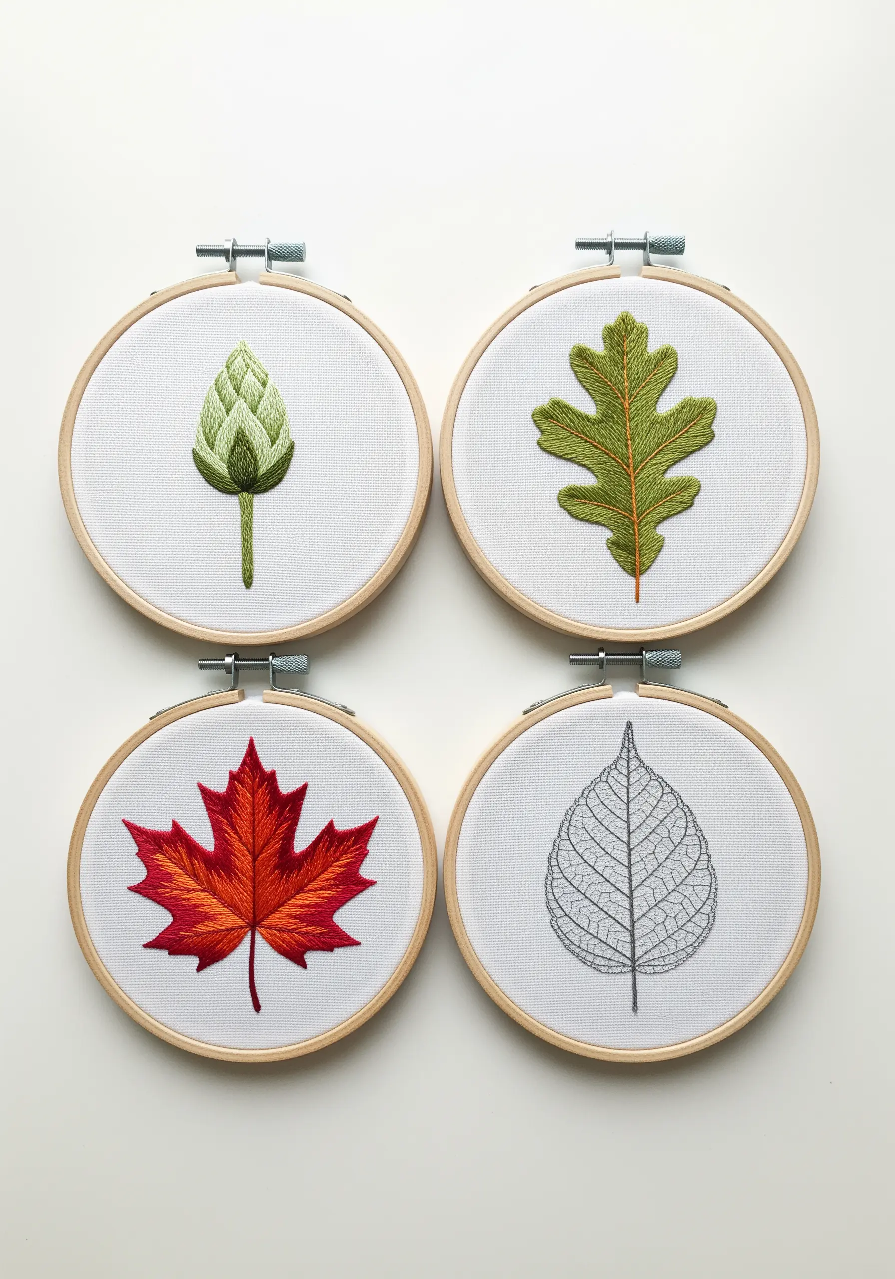 Four small embroidery hoops, each displaying a different leaf: artichoke, oak, maple, and skeleton.