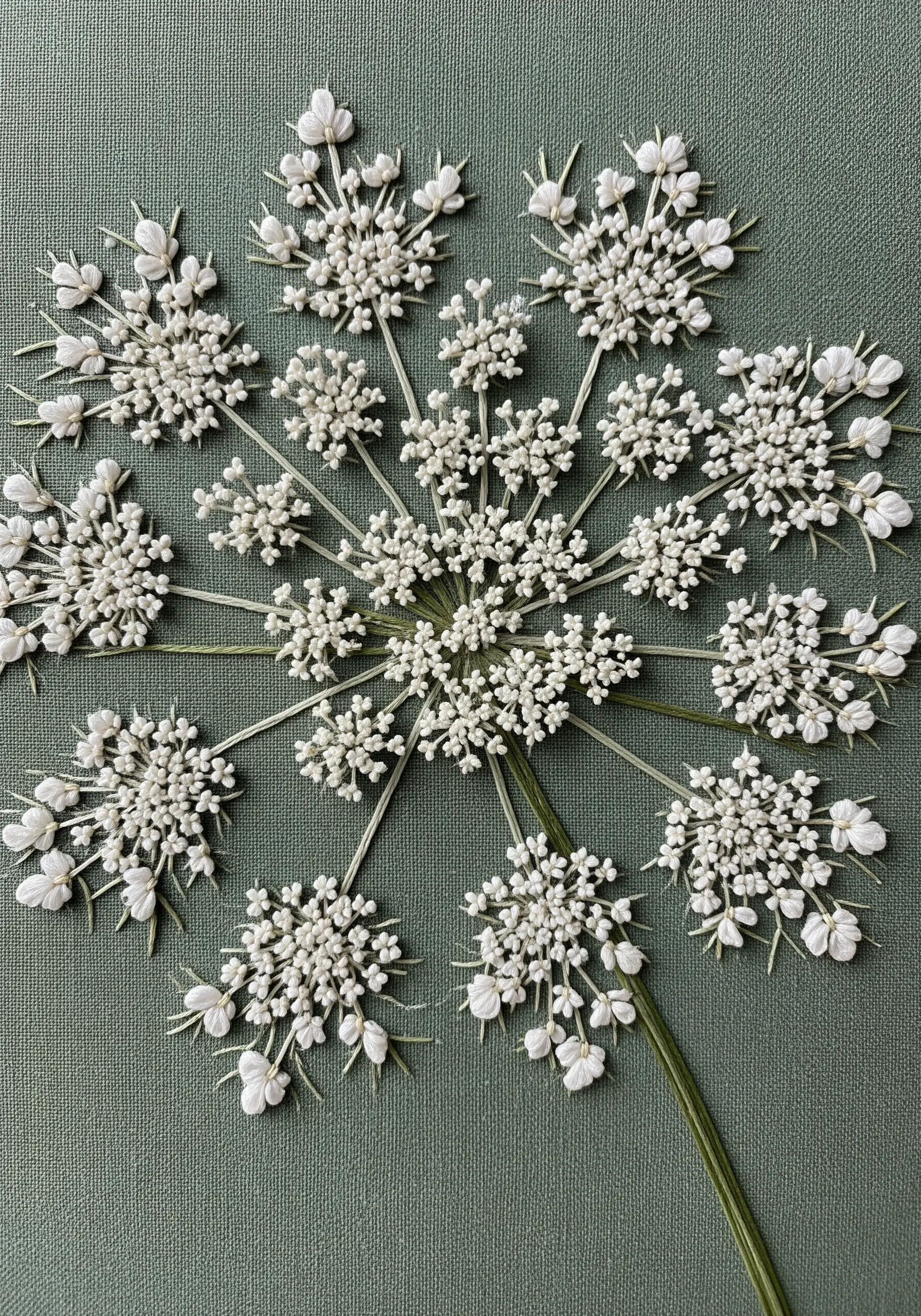 Delicate Queen Anne's Lace embroidery using white French knots and straight stitches on green fabric.