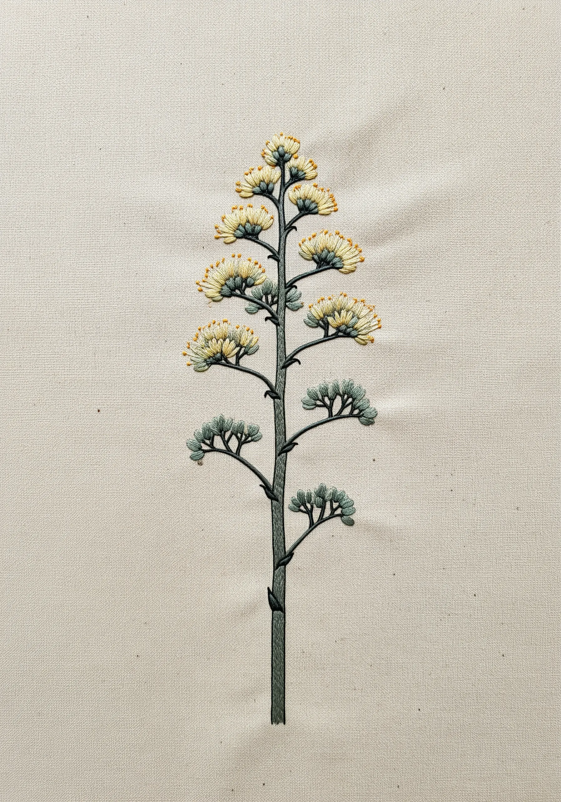 A delicate botanical illustration of an agave plant with subtle green and yellow shading.