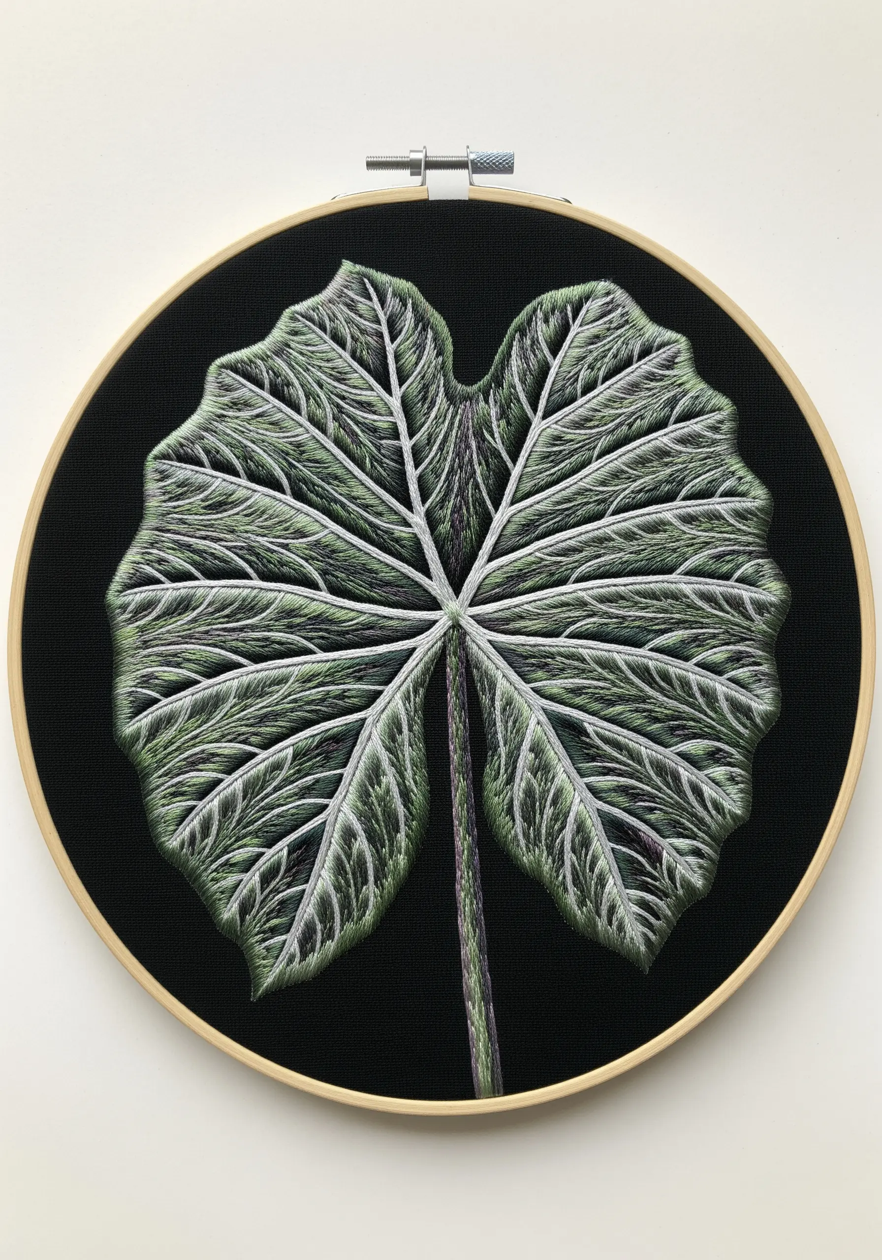 An Alocasia leaf with dark green and purple fills and bright white veins.