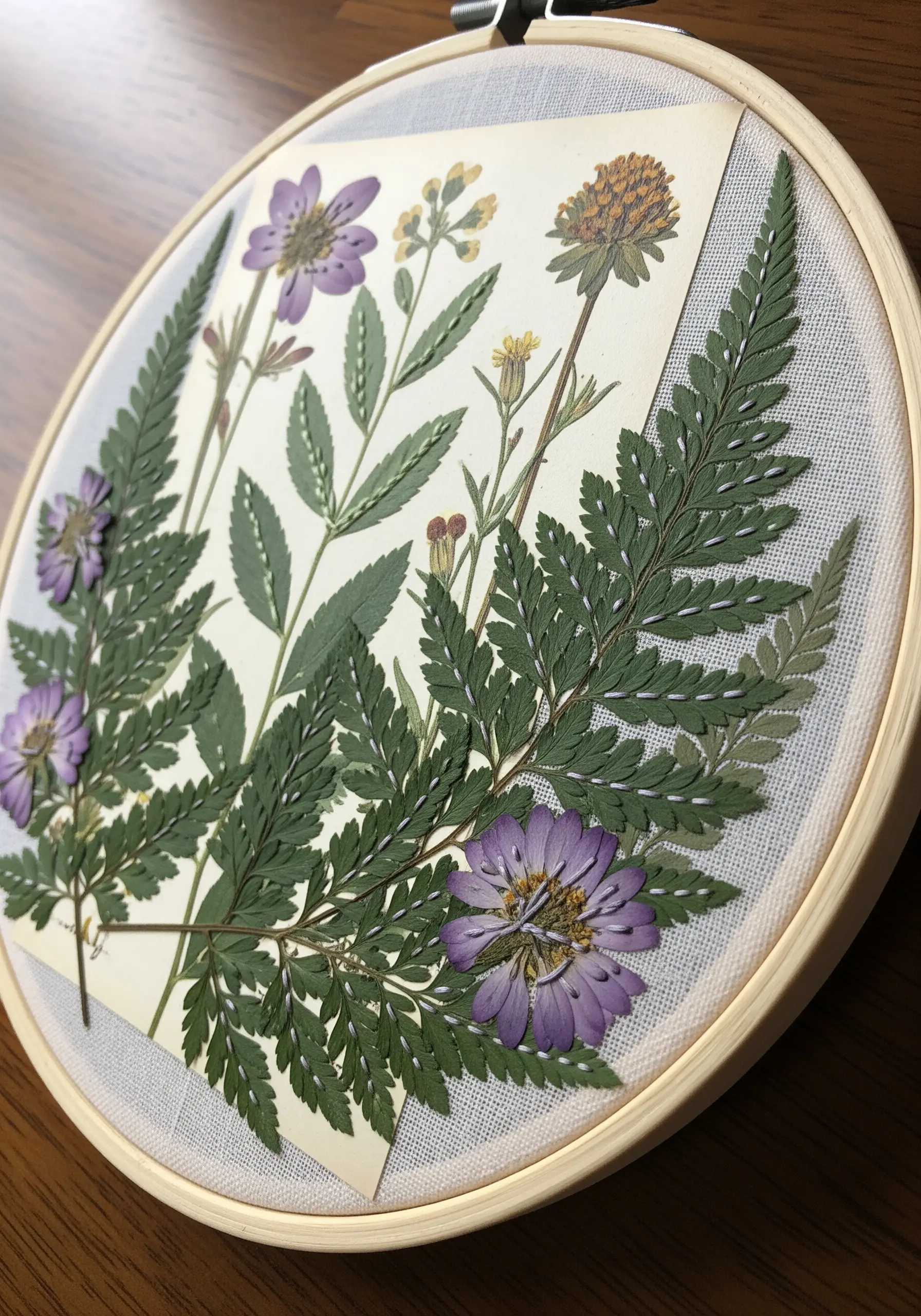 Pressed ferns and purple flowers stitched onto sheer fabric in a hoop.