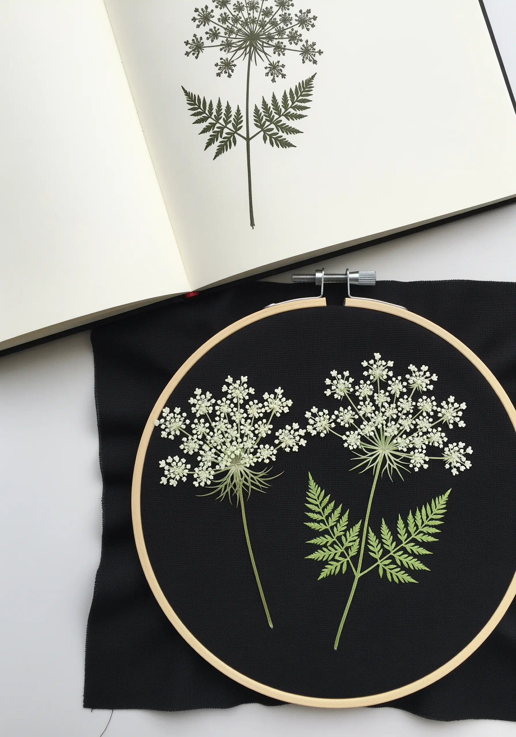 Realistic embroidery of Queen Anne's Lace using French knots and fern stitch
