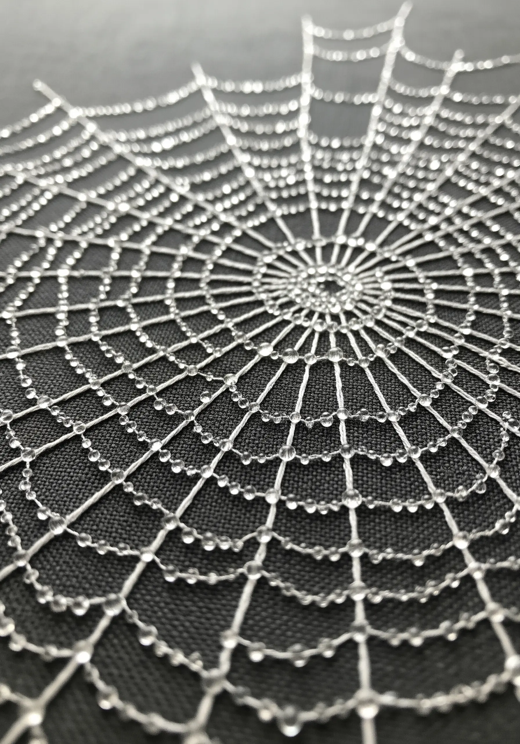 A delicate spiderweb embroidered in white thread on black fabric, adorned with clear seed beads as dewdrops.