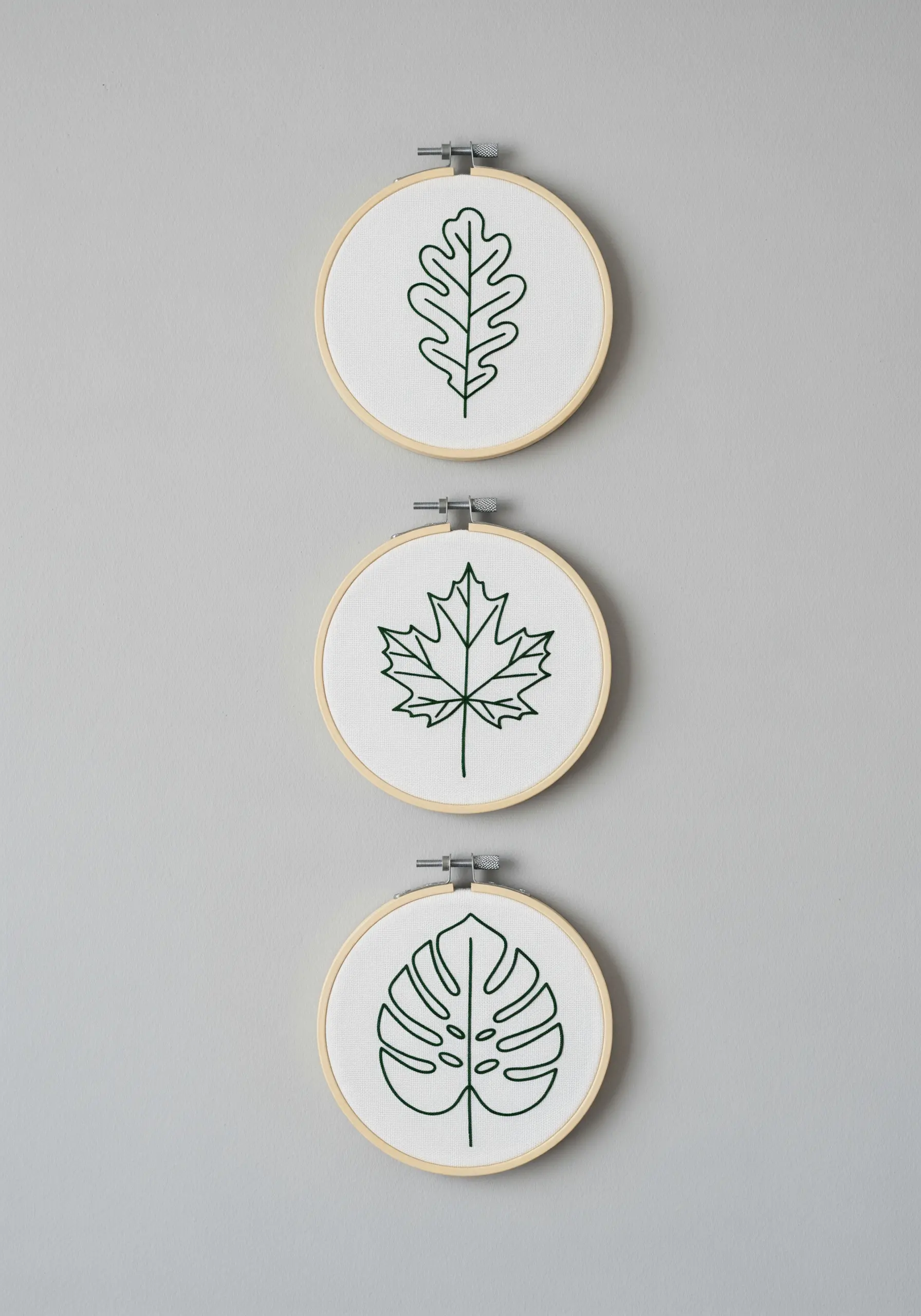 Three embroidery hoops with minimalist line-art leaves: oak, maple, and monstera.
