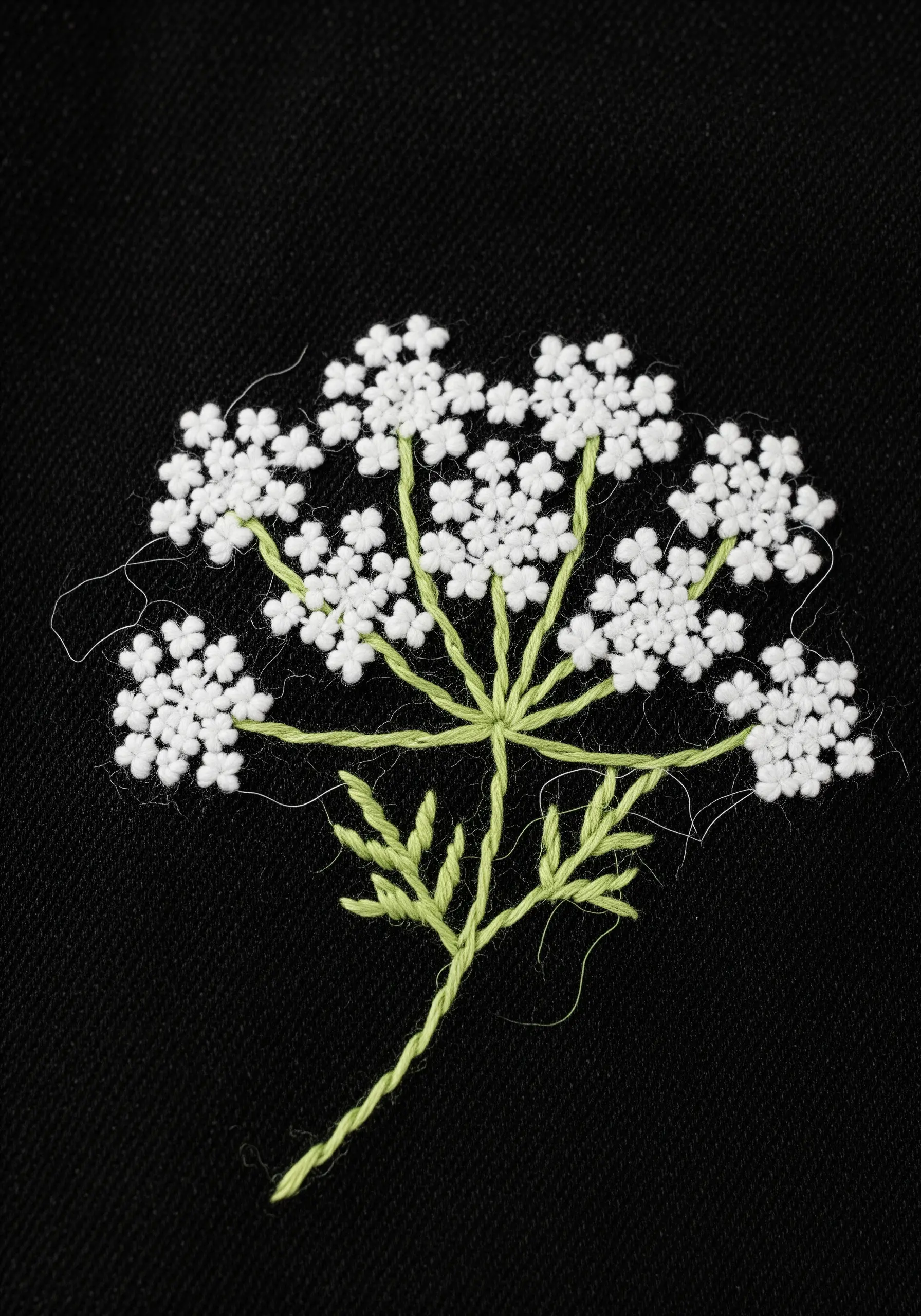 Intricate Queen Anne's Lace embroidered in white and green thread on a black fabric background.