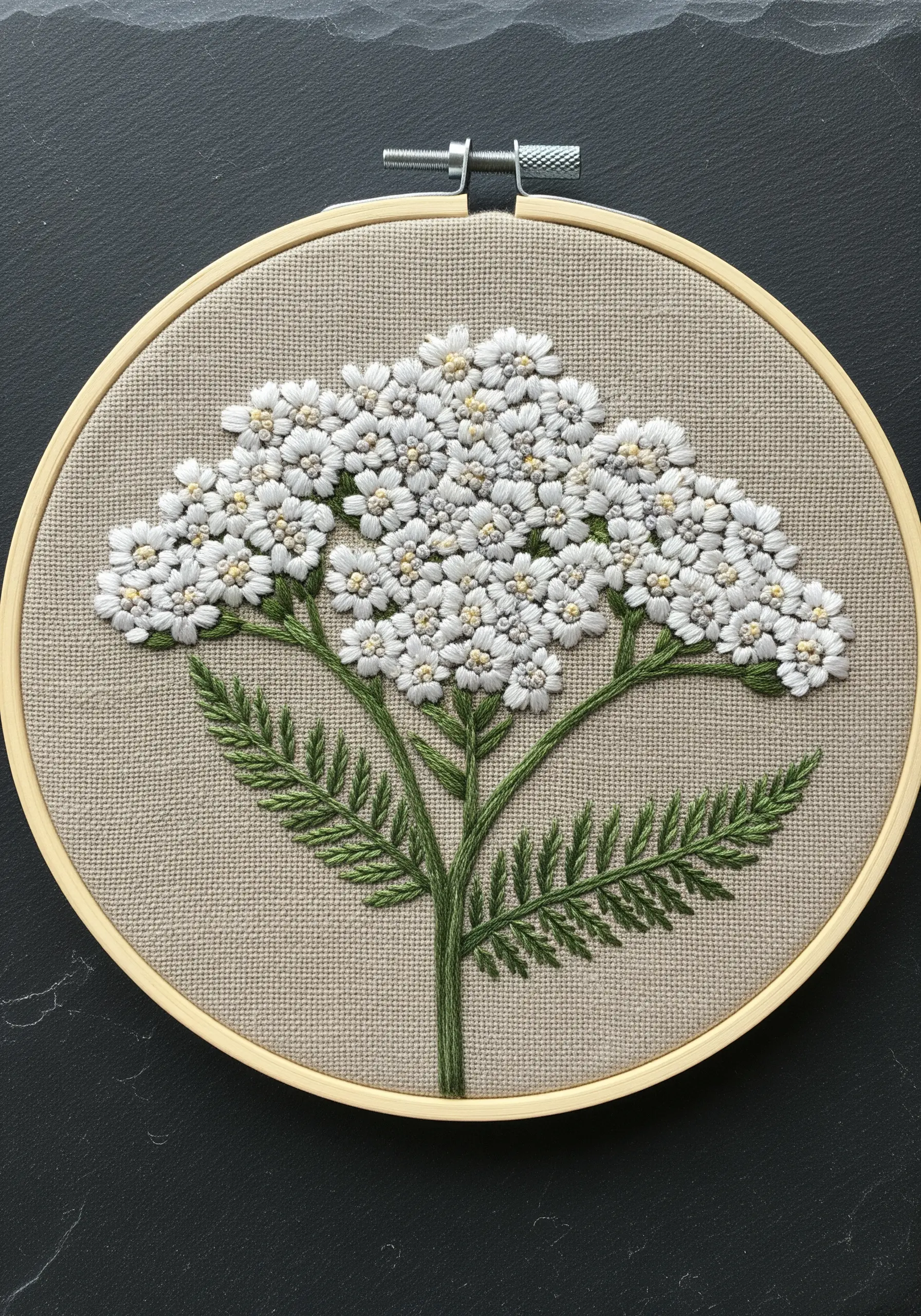 Dense white yarrow clusters made with tiny lazy daisy stitches on neutral linen fabric.