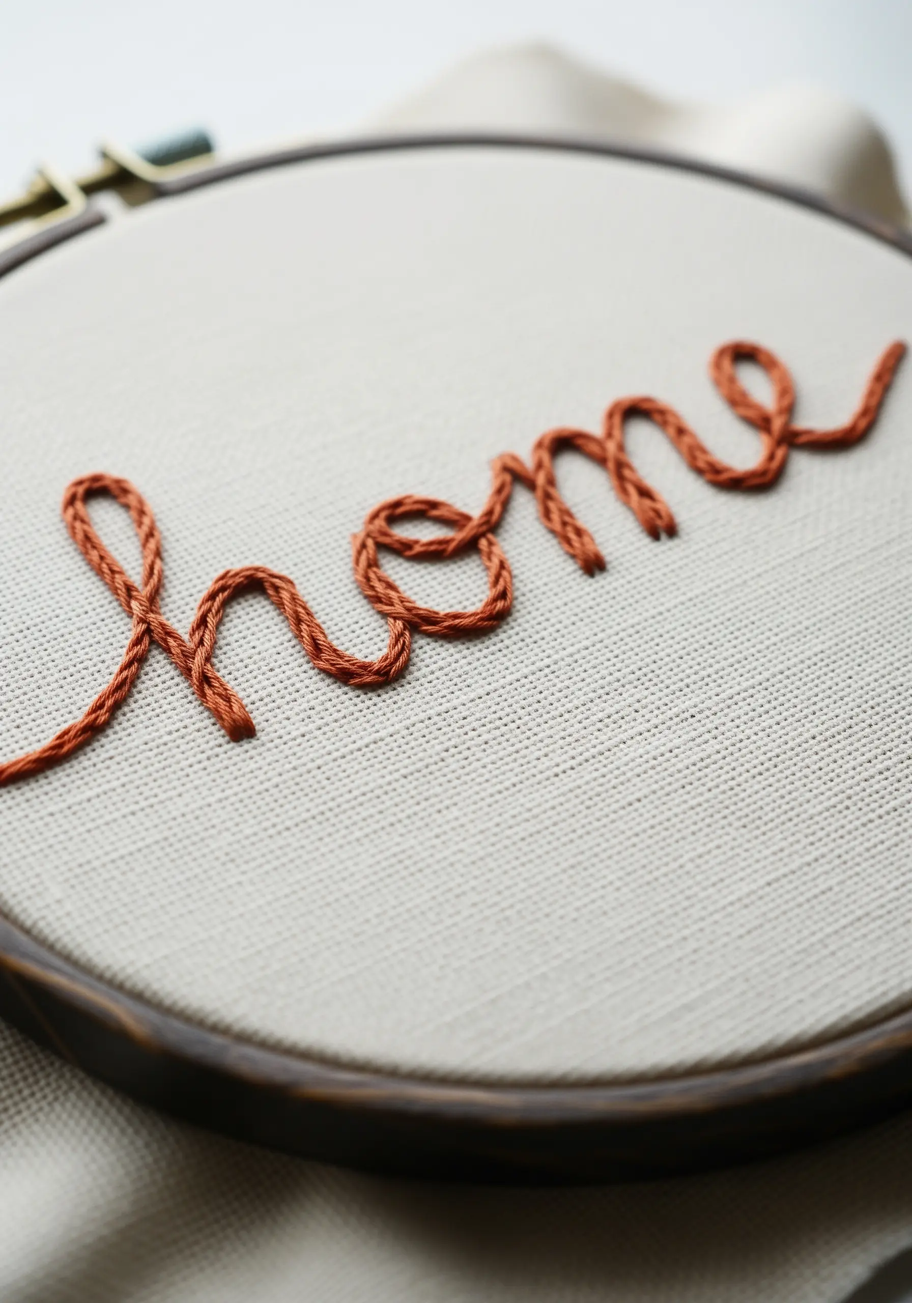 The word 'home' in a thick, terracotta-colored whipped backstitch.