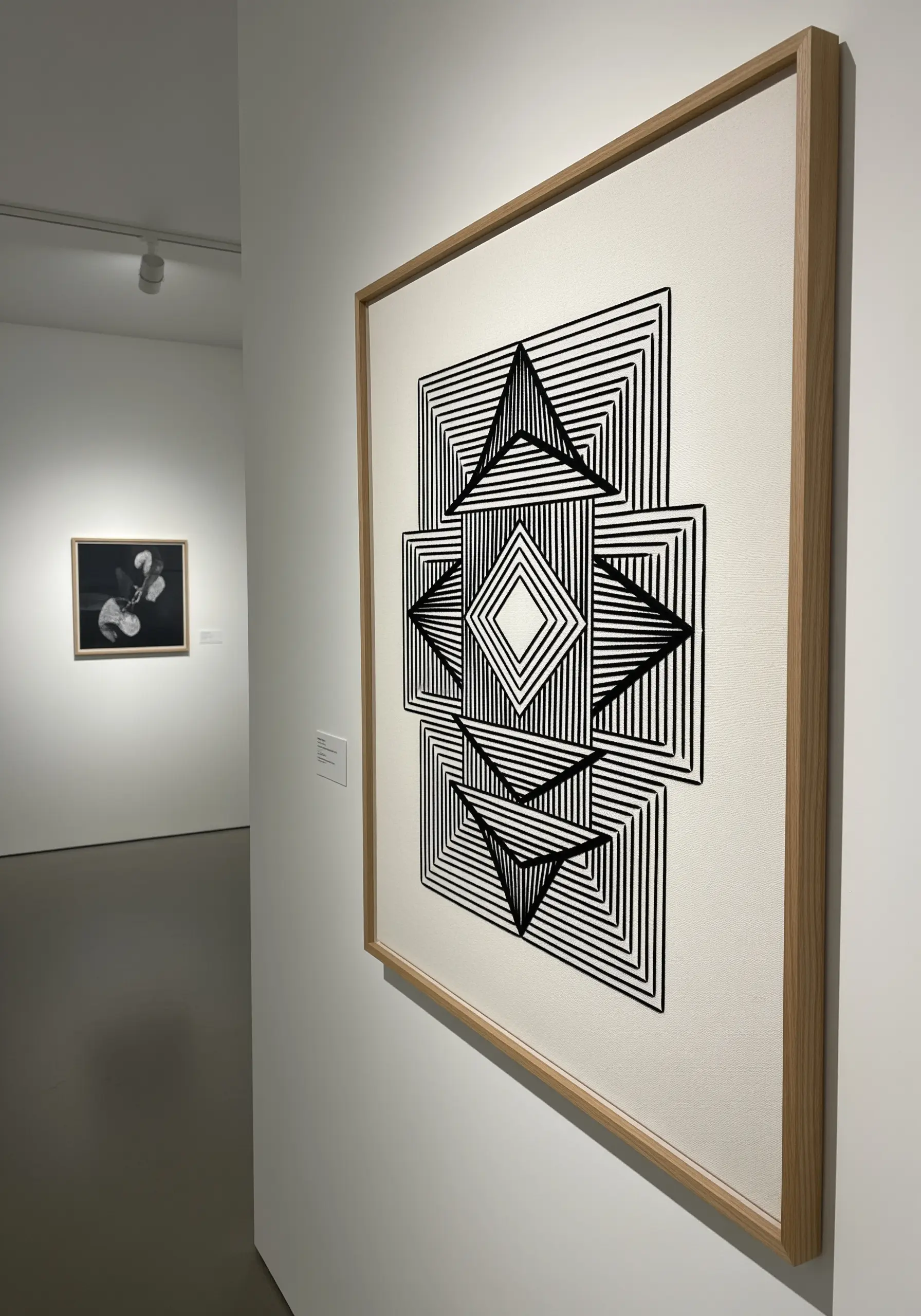 Framed black-and-white geometric line art creating an optical illusion on a gallery wall.