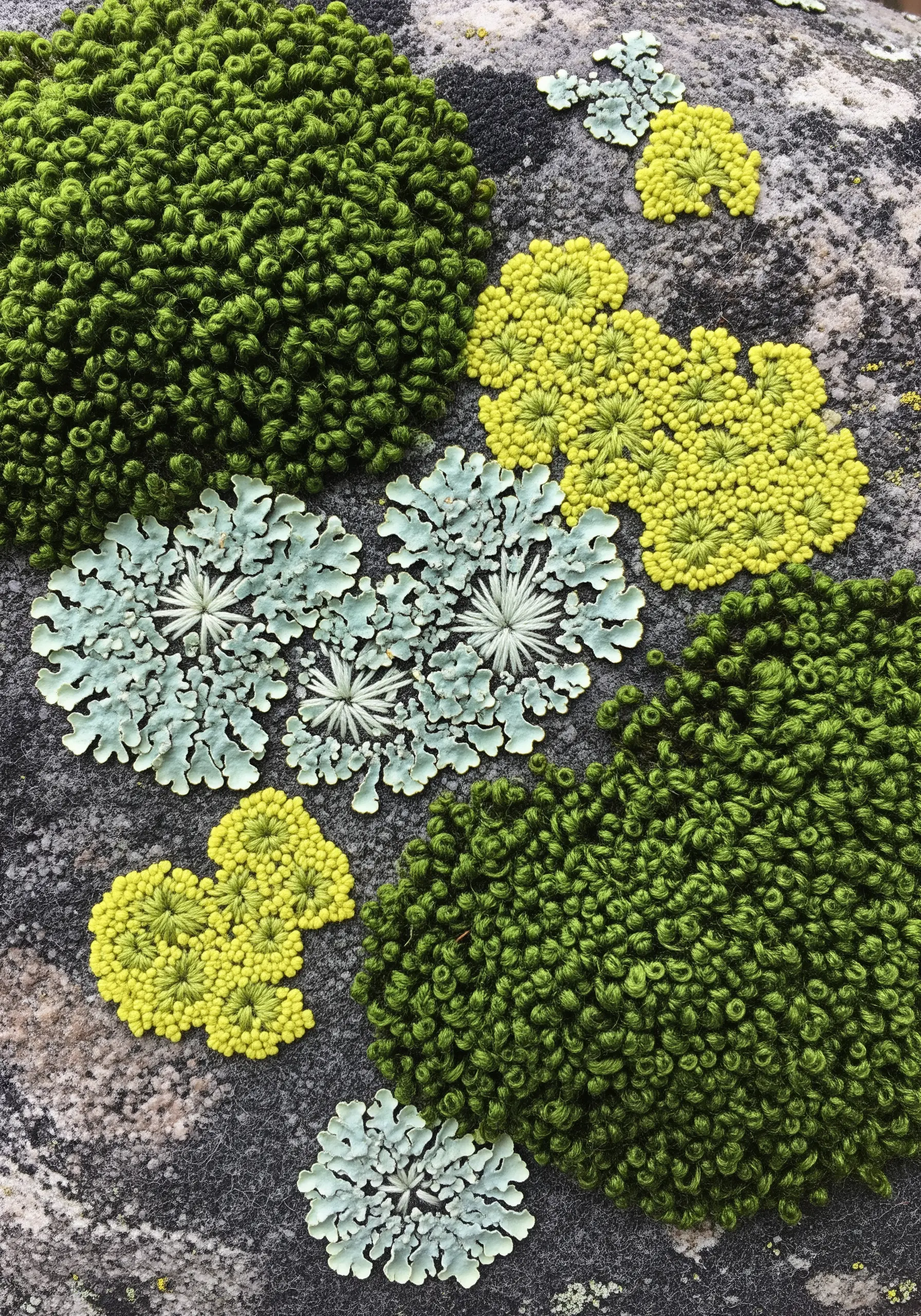 Highly textural embroidery of moss and lichen using dense French knots and satin stitch.