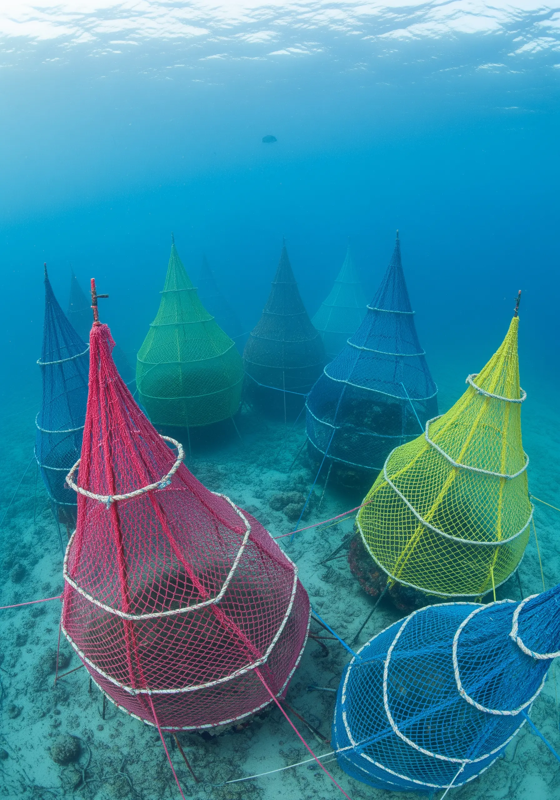 Colorful, cone-shaped fiber nets installed on the ocean floor among coral reefs.
