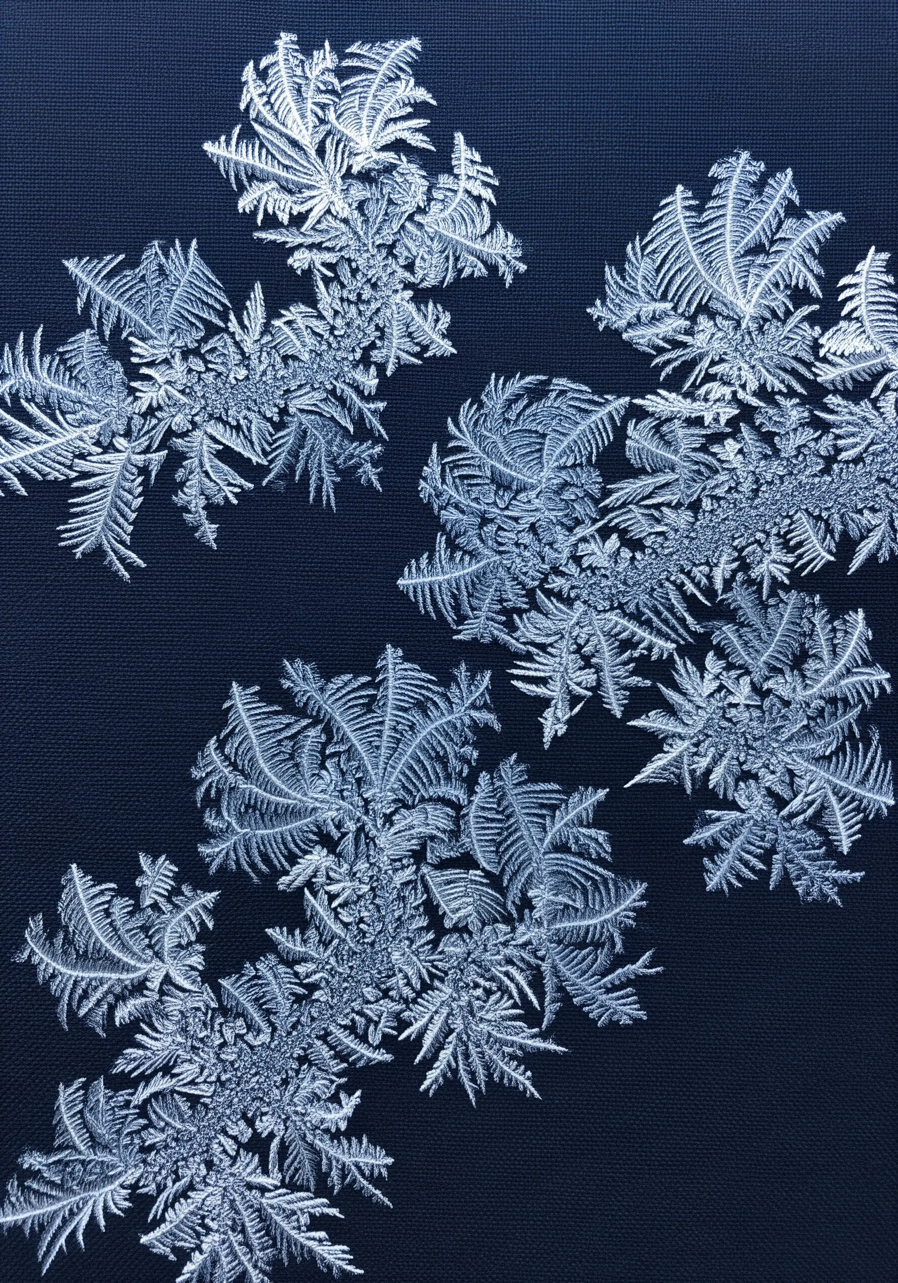 Intricate, realistic embroidered snowflakes with fractal patterns on a dark navy background.