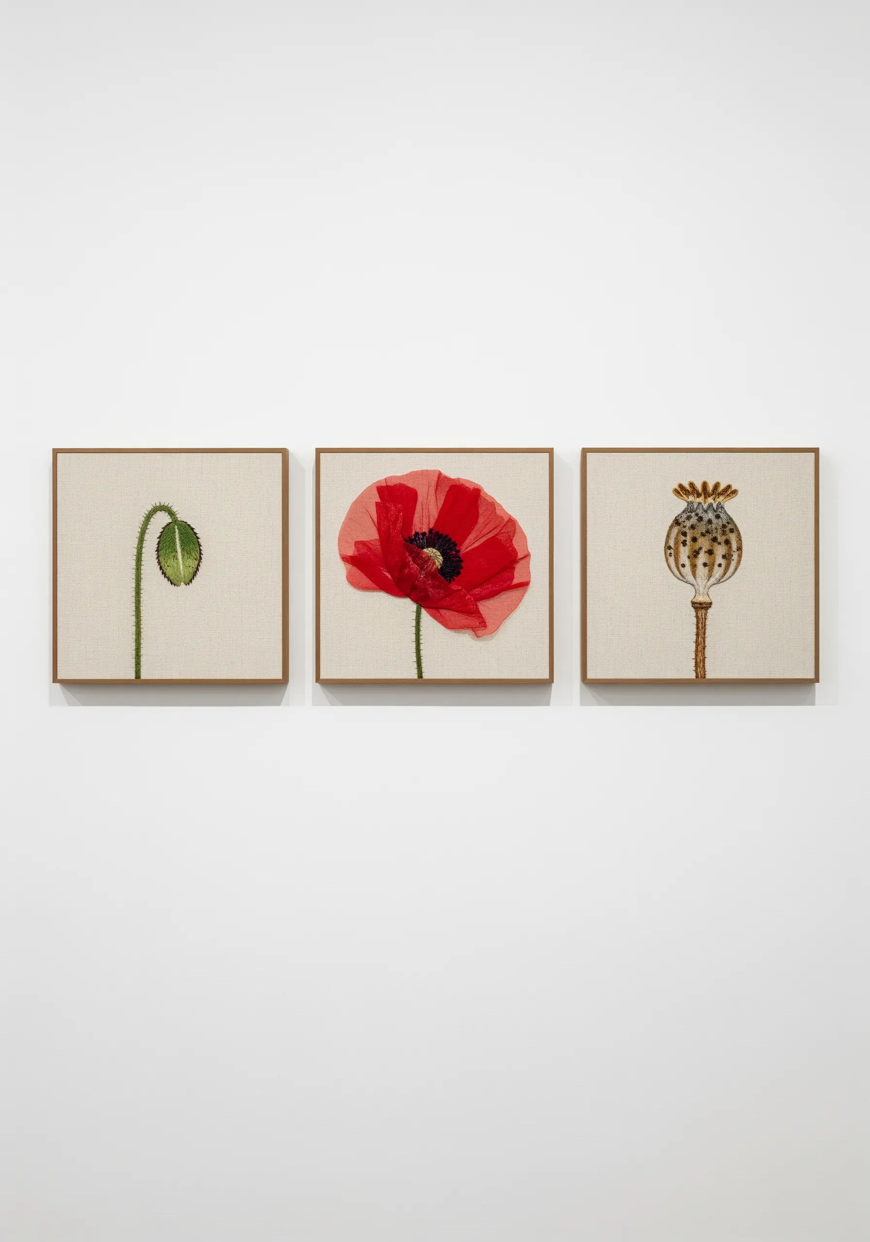 A triptych of framed embroidery showing a poppy bud, a full bloom, and a seed pod.