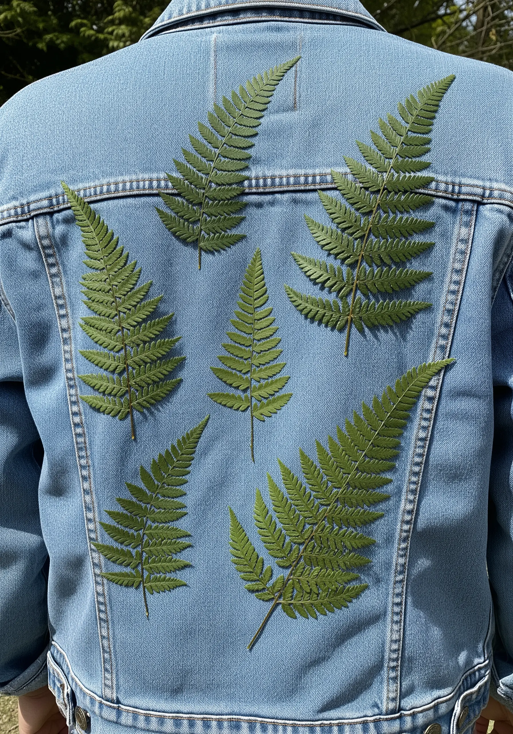 Pressed fern leaves arranged on the back panel of a denim jacket as a design concept.