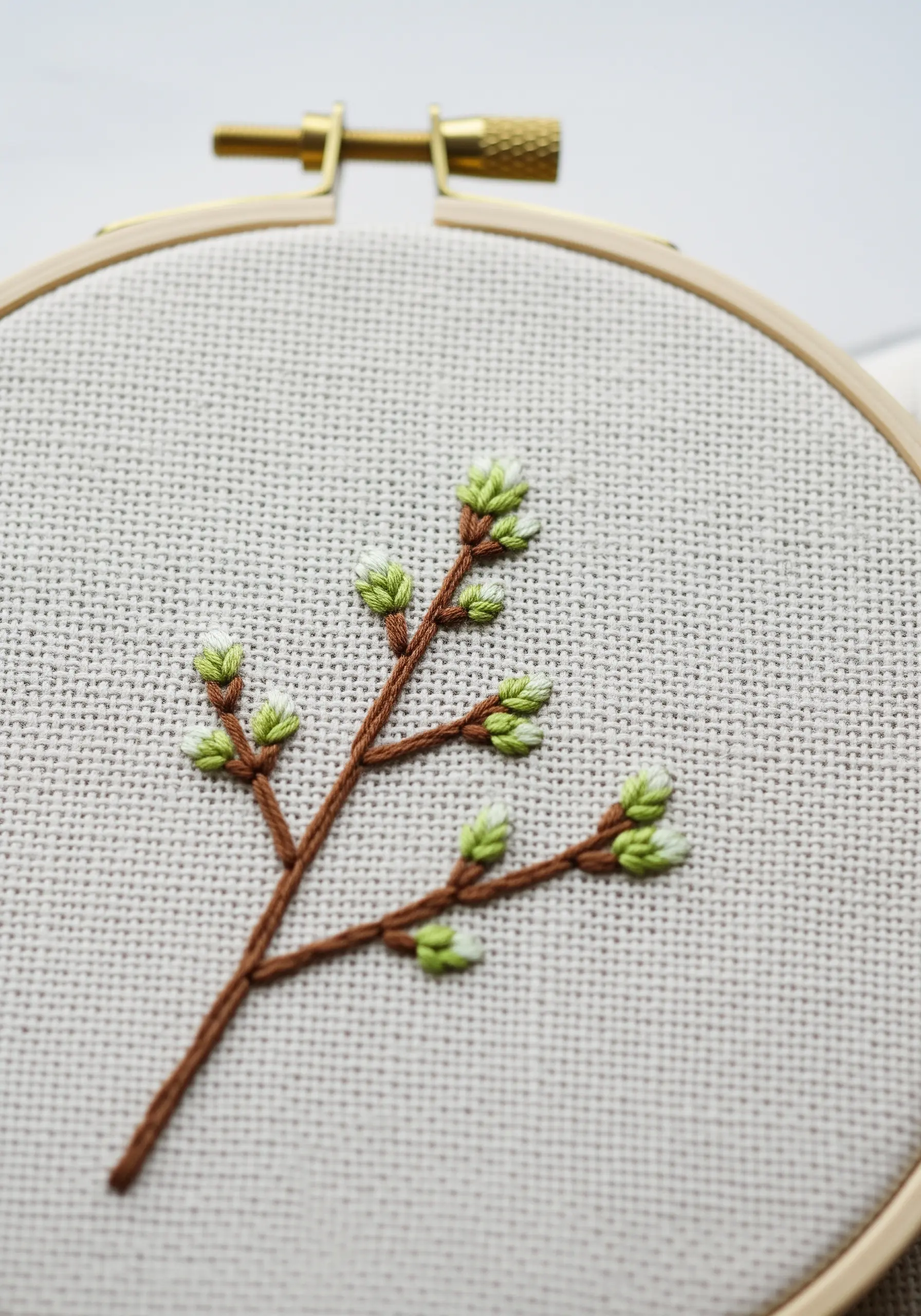 A close-up of a branch with tiny, two-toned green and white French knot buds.