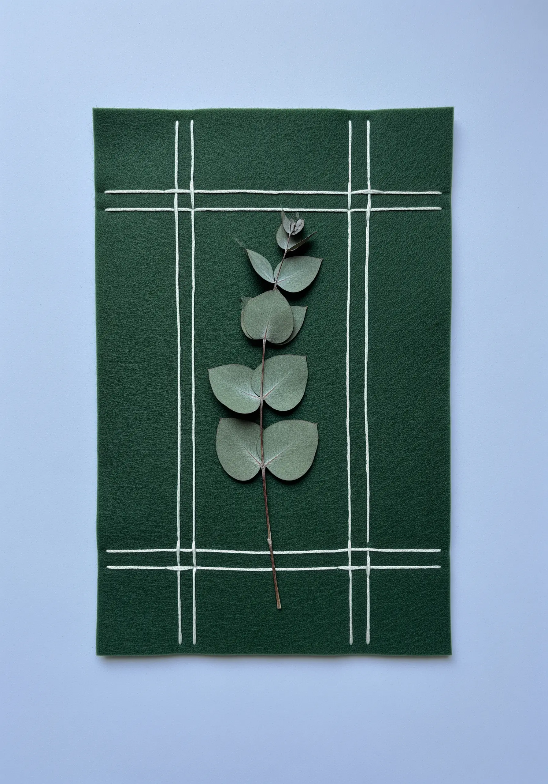 A single sprig of pressed eucalyptus against a dark green felt background with a minimalist white grid.